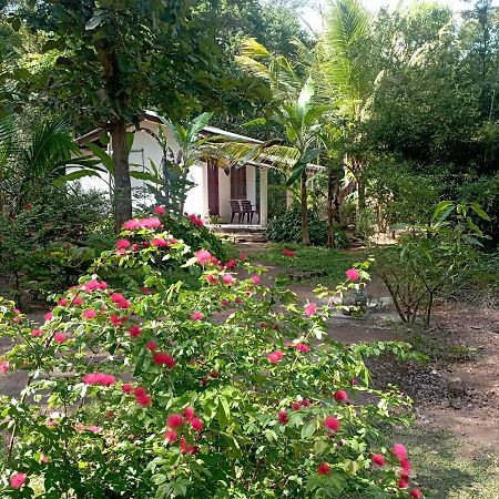 הבאראנה Sanjana Home Stay מראה חיצוני תמונה