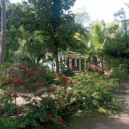 הבאראנה Sanjana Home Stay מראה חיצוני תמונה