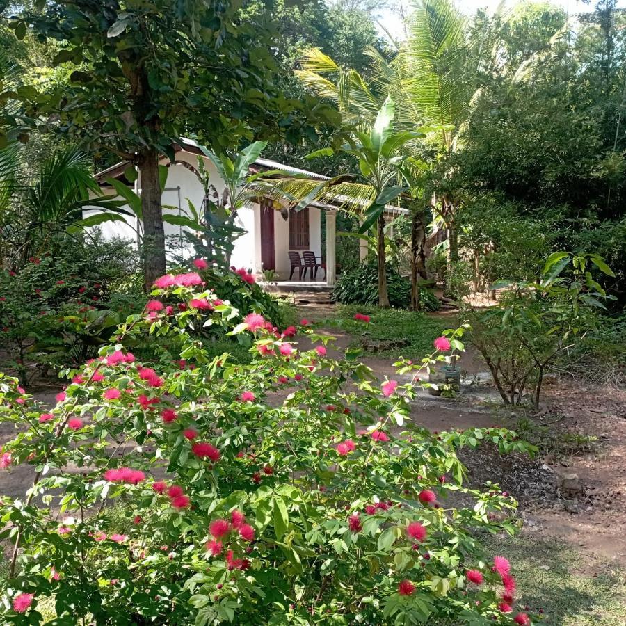 הבאראנה Sanjana Home Stay מראה חיצוני תמונה