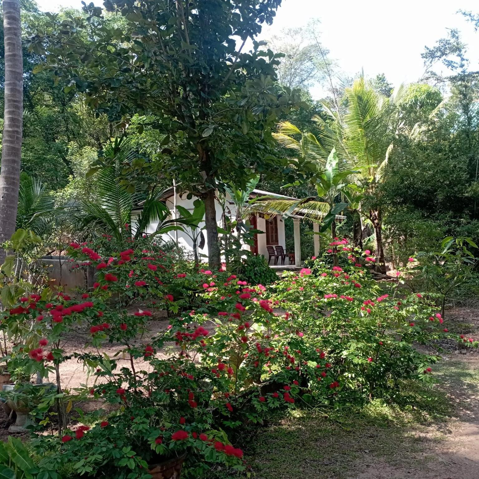 הבאראנה Sanjana Home Stay מראה חיצוני תמונה